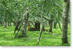 ���Ò����r��n���@�ʎ���